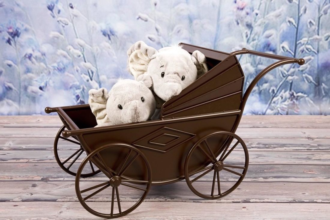 Figli gemelli e le domande più frequenti